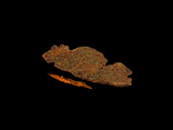 Steak Buffalo