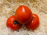Tomates Cœur de bœuf