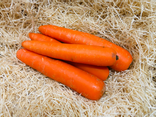 Carottes lavées