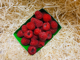 Framboises tulameen