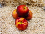 Nectarines jaunes