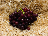 Raisin rose sans pépins