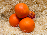 Oranges de table