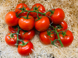 Tomates grappe