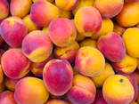 Abricots extra