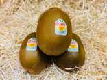 Kiwi jaune