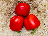 Poivrons rouges