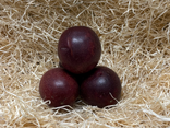 Fruit de la passion