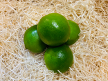Citron vert