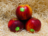 Pomme Juliet - BIO