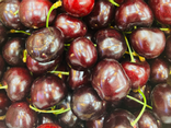 Cerises extra