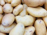 Pommes de terre Charlotte
