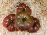 Tomates noires de Crimée