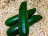 Courgette