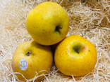 Pommes Chantecler