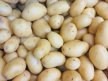 Pommes de terre Grenaille