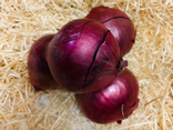 Oignons rouges