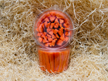 Carottes (bâtonnet)