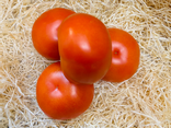 Tomate ronde