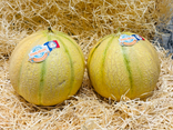 Melon Philibon