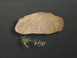 Escalope de veau panée