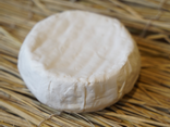 Camembert Di Bufala