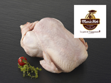 Poule IGP