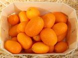 Kumquats