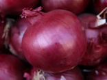 Oignons rouges