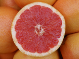 Pomelo rose