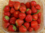 Fraises