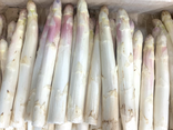 Asperges blanches petit calibre