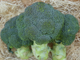 Brocoli