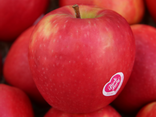 Pommes Pink Lady