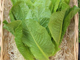 Cœur de Romaine