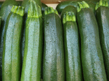 Courgettes vertes