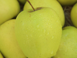 Pommes Golden
