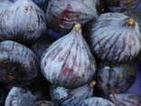 Figues noires