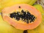 Papaye
