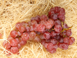 Raisin rosé