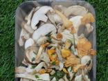 Barquette de champignons