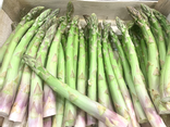 Asperges vertes