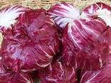 Salade Trévise