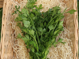 Persil plat