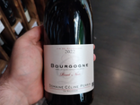 Bourgogne Pinot Noir