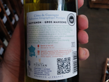 Caméléon Gourmand - Bailleul