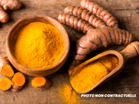 Curcuma