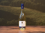 Vermentino Bolgheri DOC