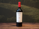 Sodale Lazio Rosso IGP