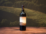 Il Bruciato Bolgheri DOC